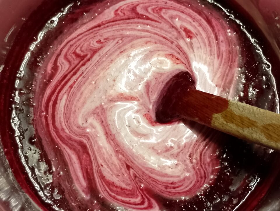 Delizia ai Frutti di Bosco