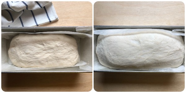 pan bauletto rustico - lievitazione finale