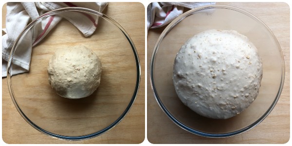 Focaccine ai fiocchi di avena - prima lievitazione