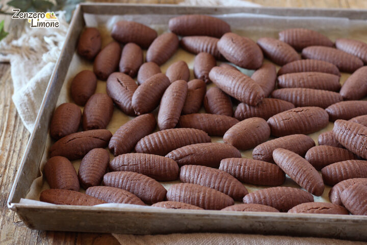 Biscotti al cacao senza uova