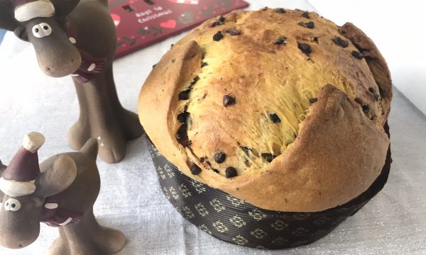 Pistacchiotto :il panettone al pistacchio e cioccolato