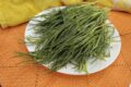 Gli Agretti: Proprietà e Segreti in Cucina