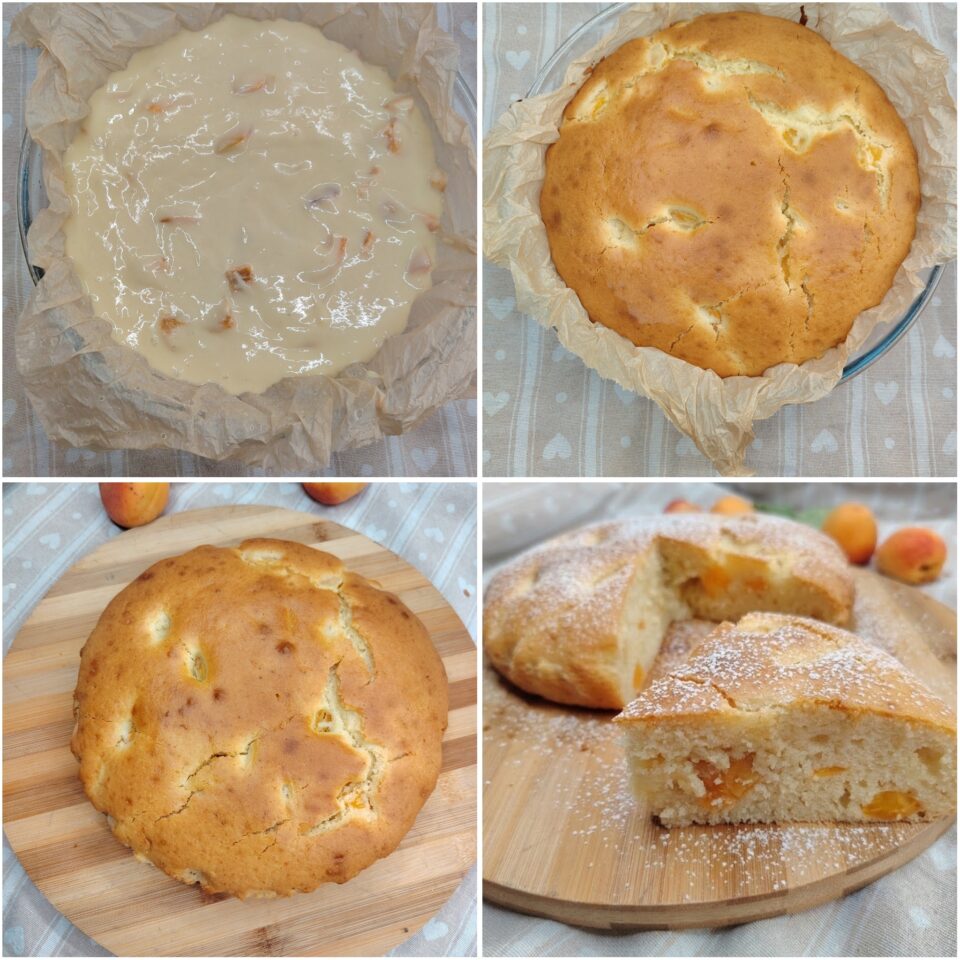 Torta soffice al latte e albicocche: la ricetta semplice e genuina