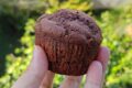 Muffin Senza Glutine al Cacao e Ricotta: Morbidissimi e Golosi