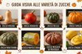 Come scegliere la zucca giusta in cucina: guida a varietà e usi