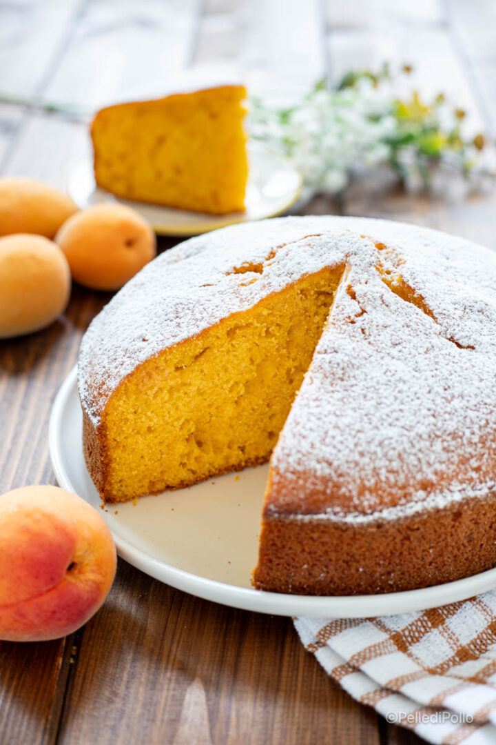 torta con albicocche fresche frullate
