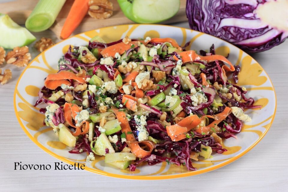 insalata di cavolo cappuccio rosso