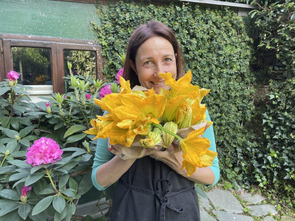 Ricette con i fiori di zucca e zucchina