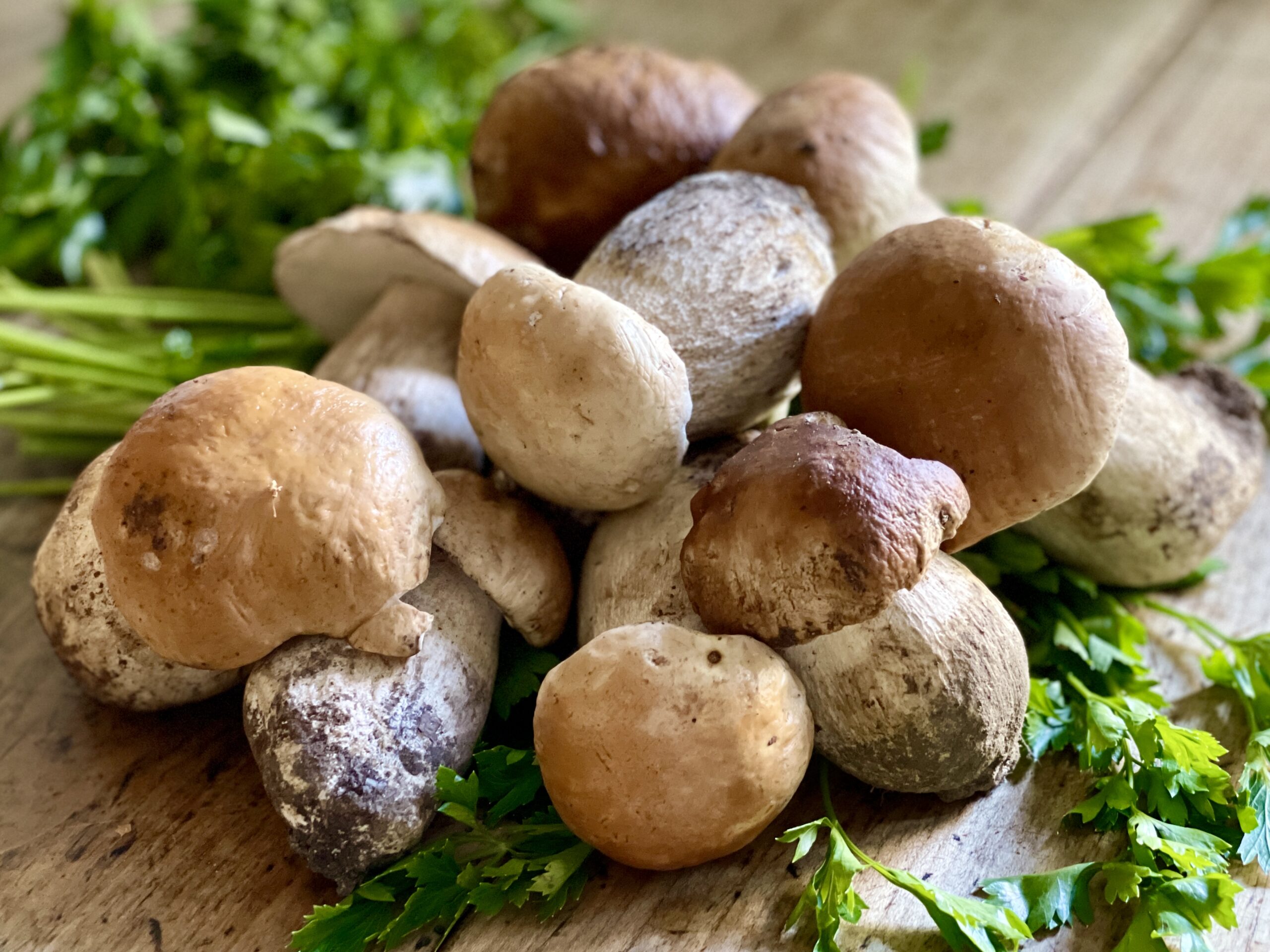 Come cucinare i funghi, ricette per tutti i gusti