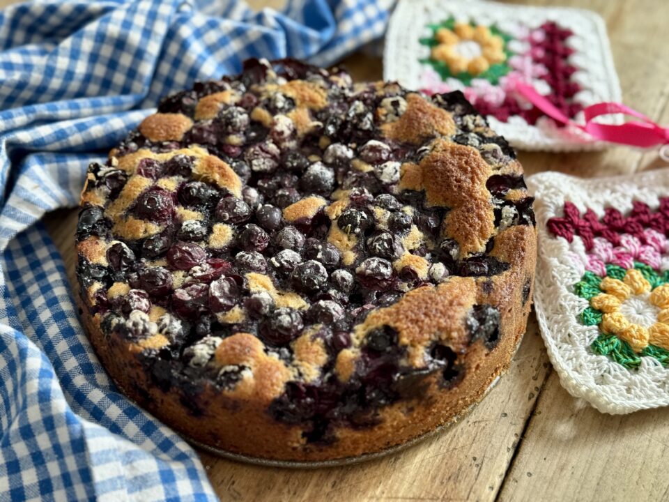 Torta sofficie di mirtilli
