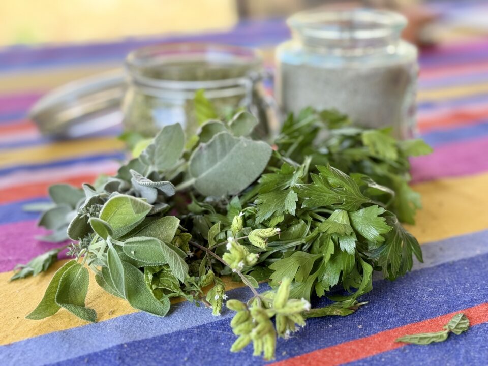 Come utilizzare e abbinare le erbe aromatiche in cucina