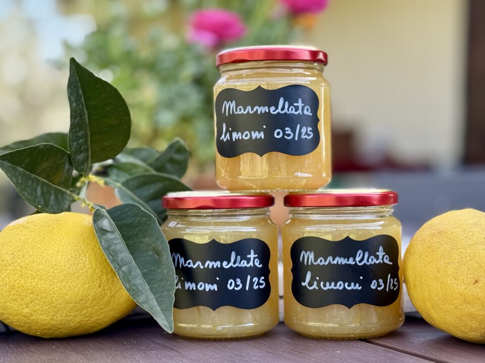 Marmellata di limoni