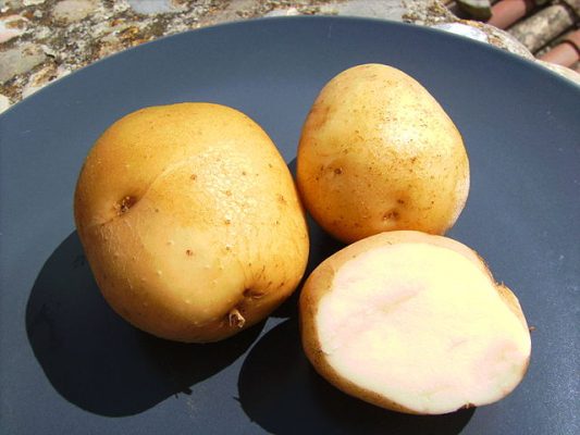 Quanto pesa una patata in grammi