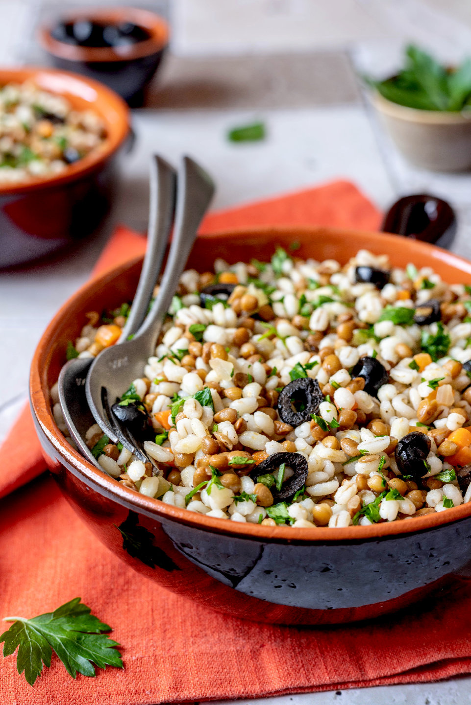 insalata di orzo e lenticchie