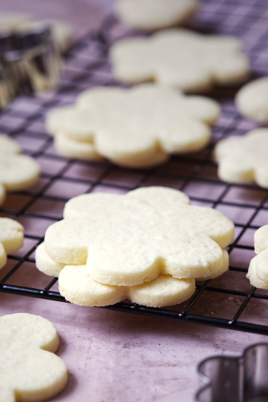 biscotti senza glutine