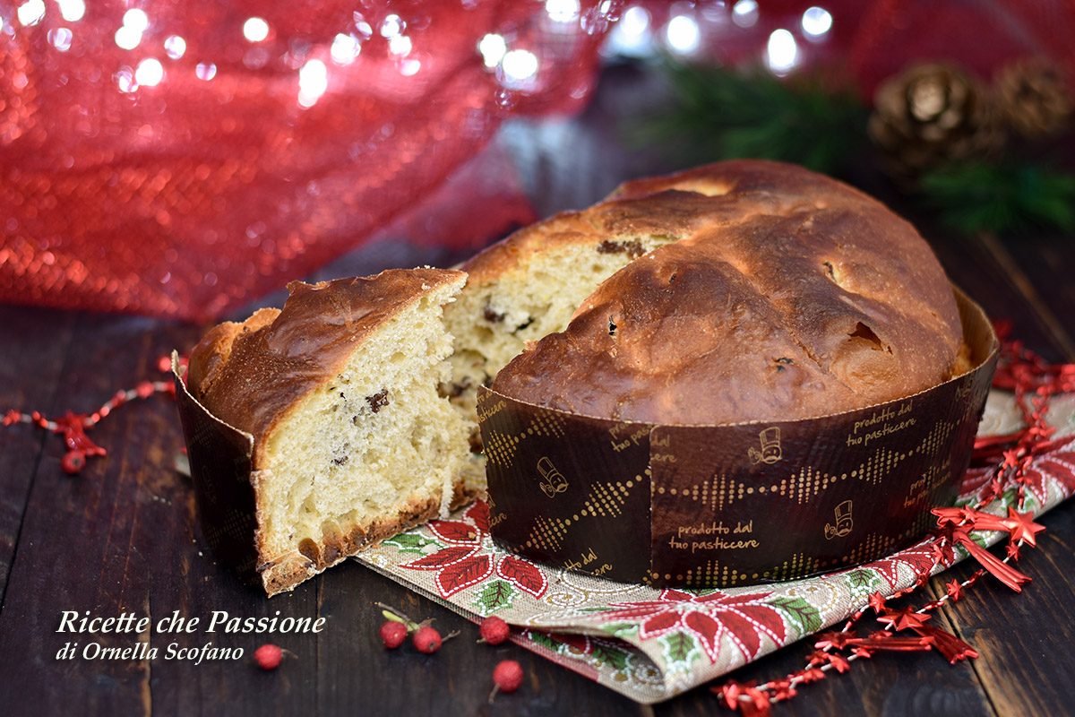 panettone fatto in casa con lievito di birra