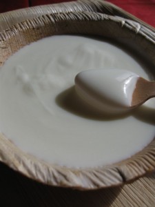Yogurt fatto in casa senza la yogurtiera
