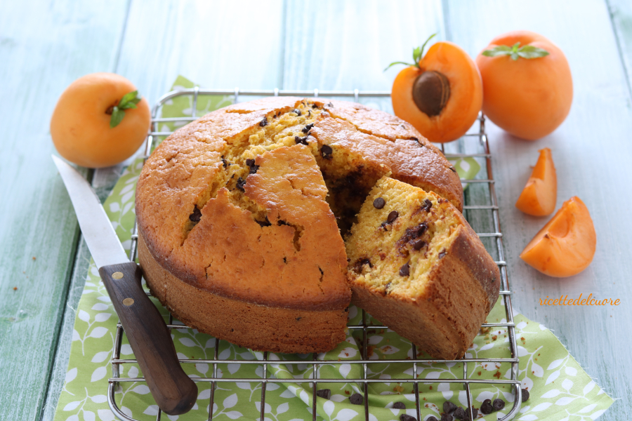 Pan di albicocche