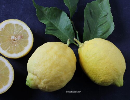 Limoni: proprietà e benefici