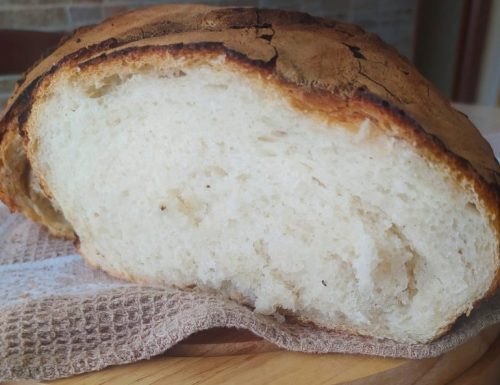 PANE CON MOLLICA