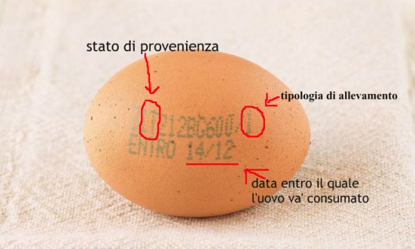 Come leggere etichetta delle uova e vedere se sono fresche