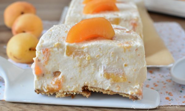 SEMIFREDDO alle Albicocche Ricetta DOLCE dessert freddo fatto in casa