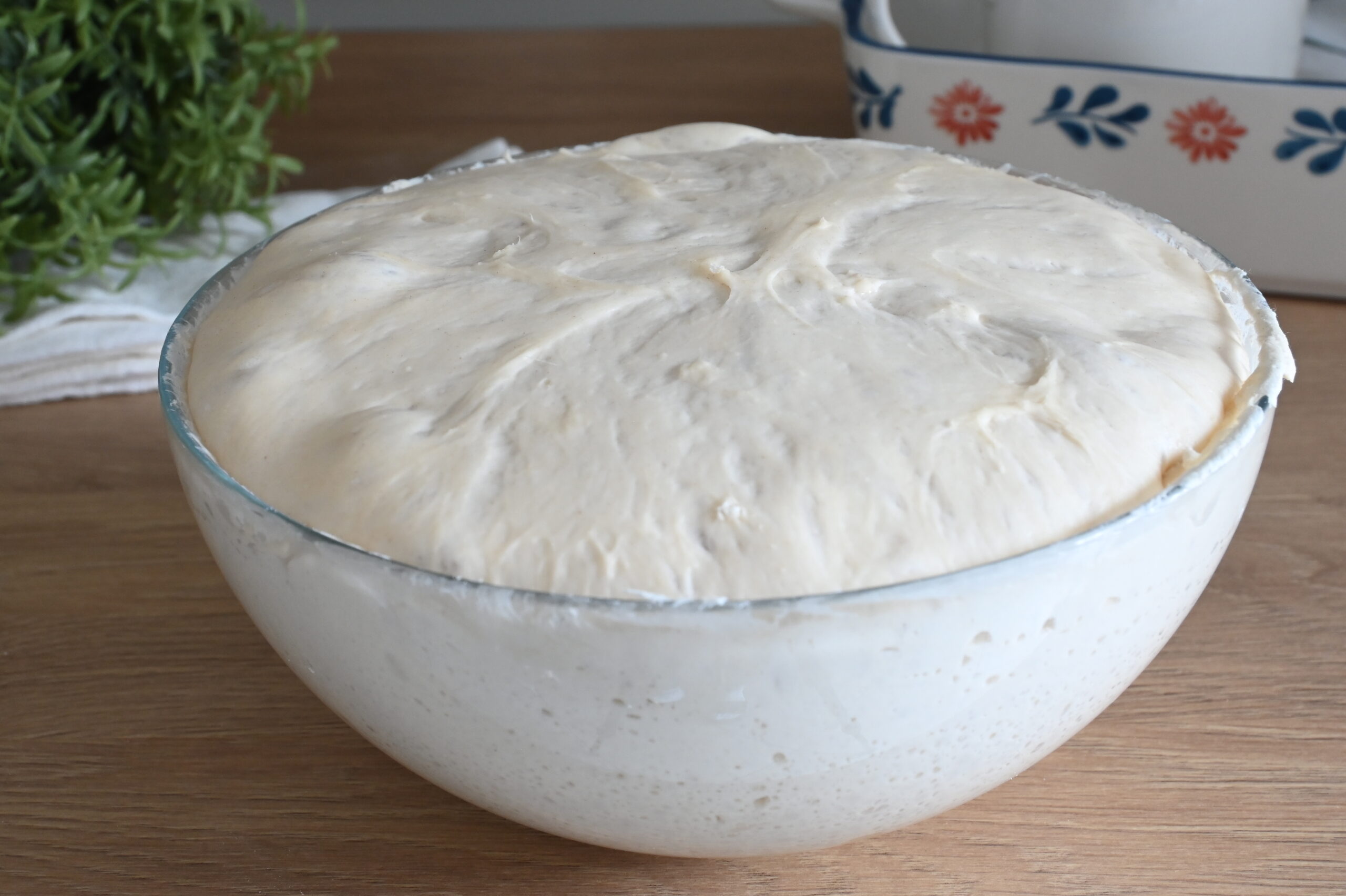 Pizza Fatta in Casa Veloce