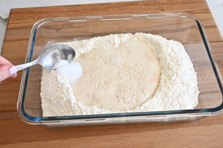 Pane Facile in 2 Ore alle Olive