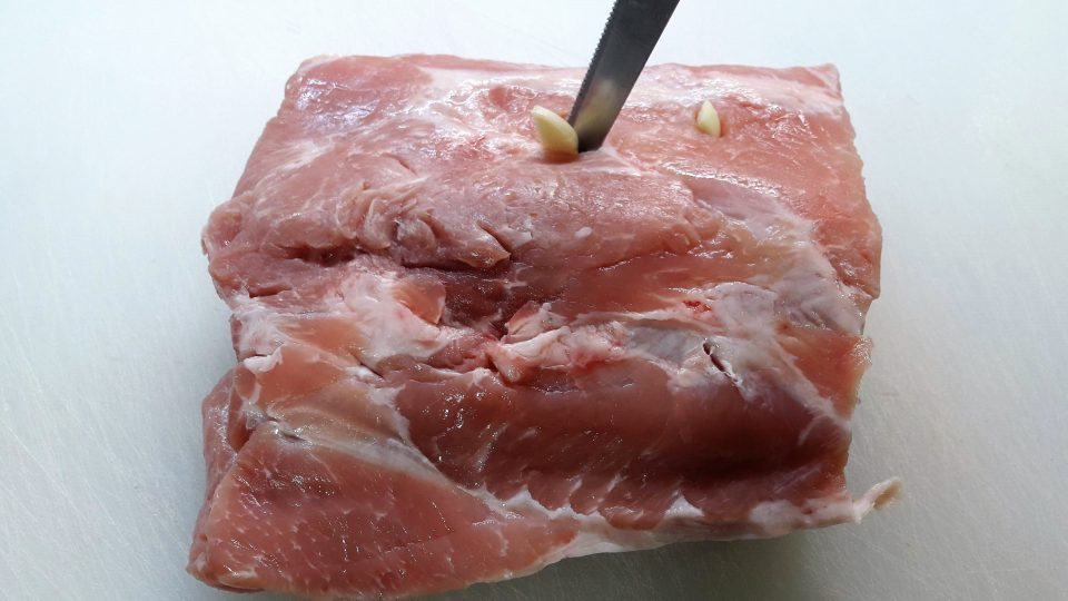 lonza
