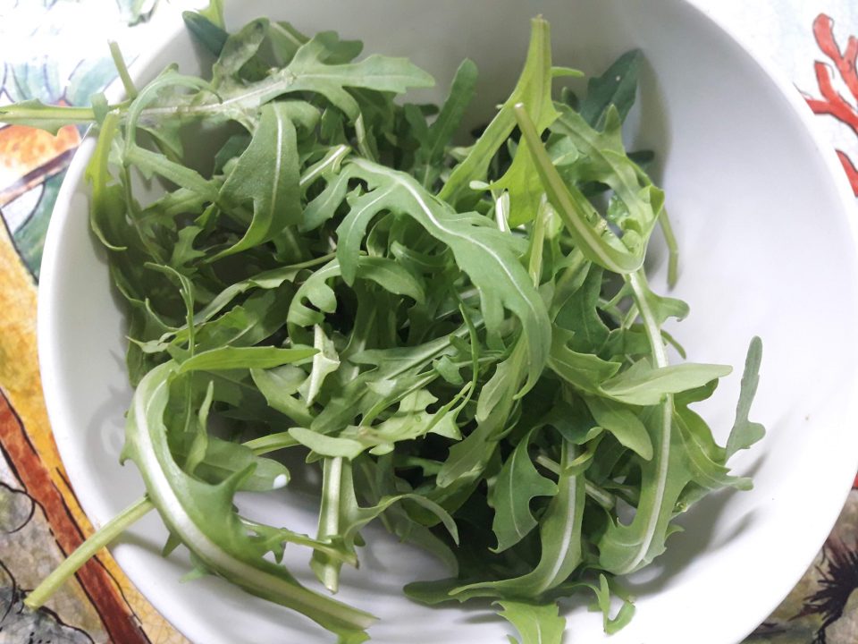 rucola