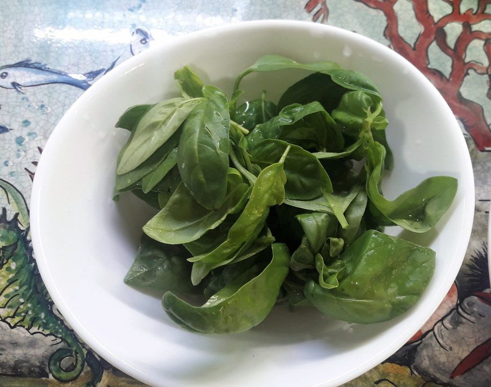 basilico