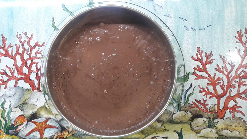 Cheesecake ligth al cacao senza cottura