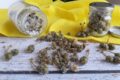 Come conservare capperi e cucunci