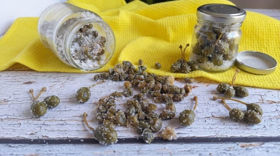 Come conservare capperi e cucunci