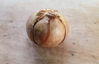 cipolla