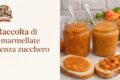 Composte di frutta senza zucchero