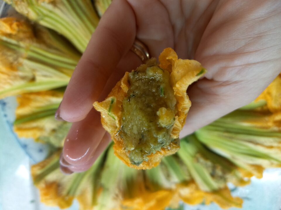 Fiori di zucca ripieni in pastella