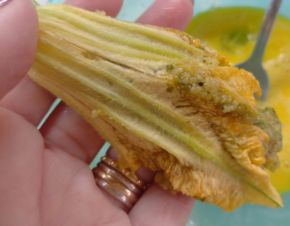 I fiori di zucca filanti impanati 
