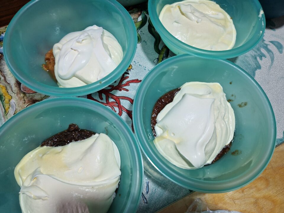 Torta semifreddo alla frutta