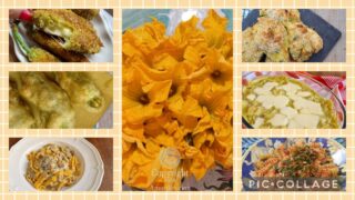 Raccolta di ricette con i fiori di zucca