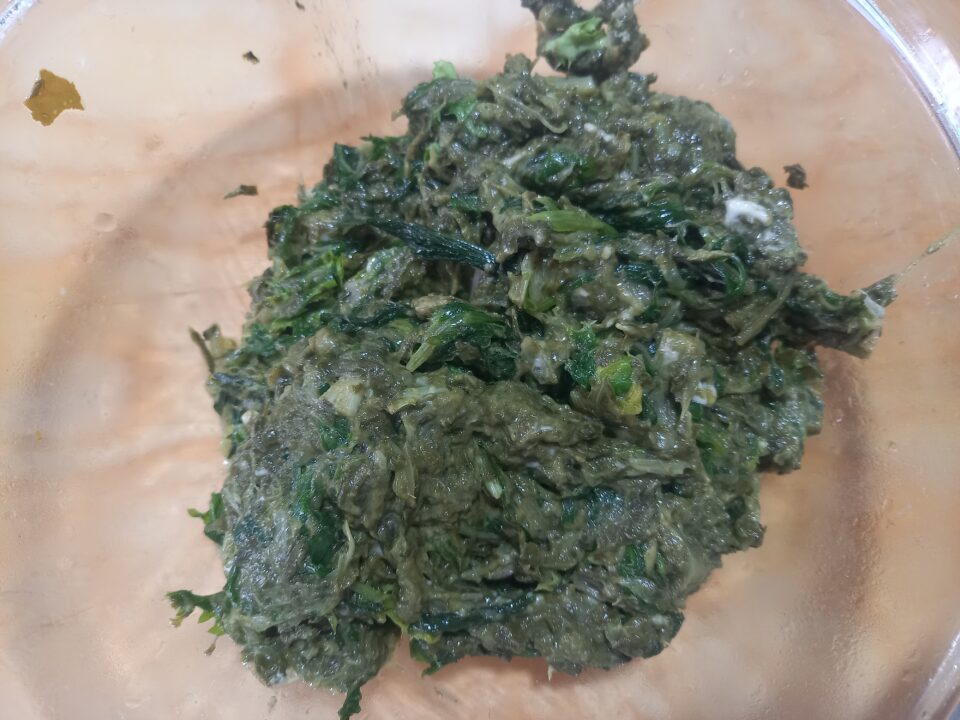 spinaci