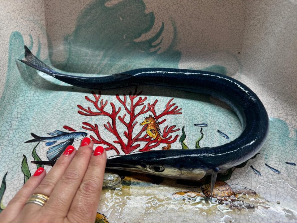 aguglia