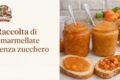 Composte di frutta senza zucchero