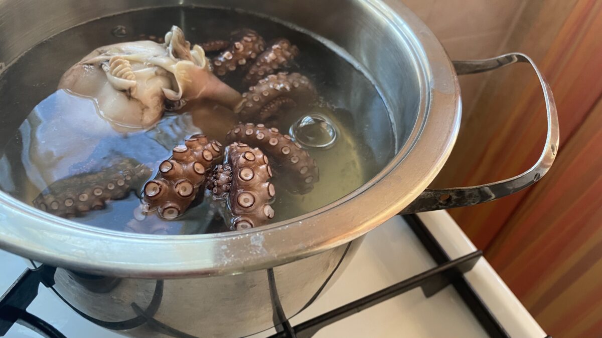 Polpo surgelato a insalata morbidissimo