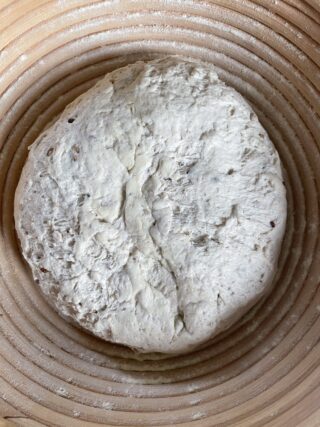 pane all'avena con lievito madre nel cestino di lievitazione