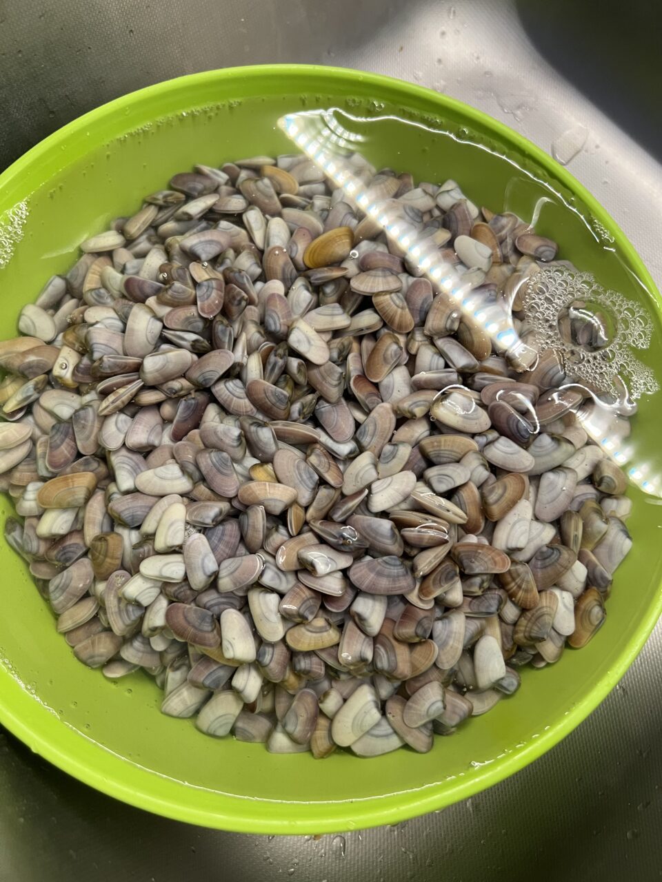 per gli spaghetti con le telline alla napoletana