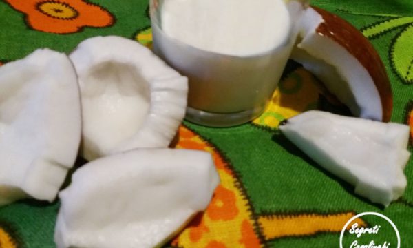 latte di cocco fatto in casa