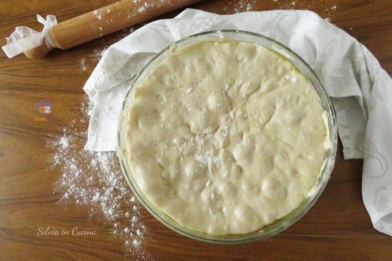 Impasto PIZZA Bimby Silvia in cucina