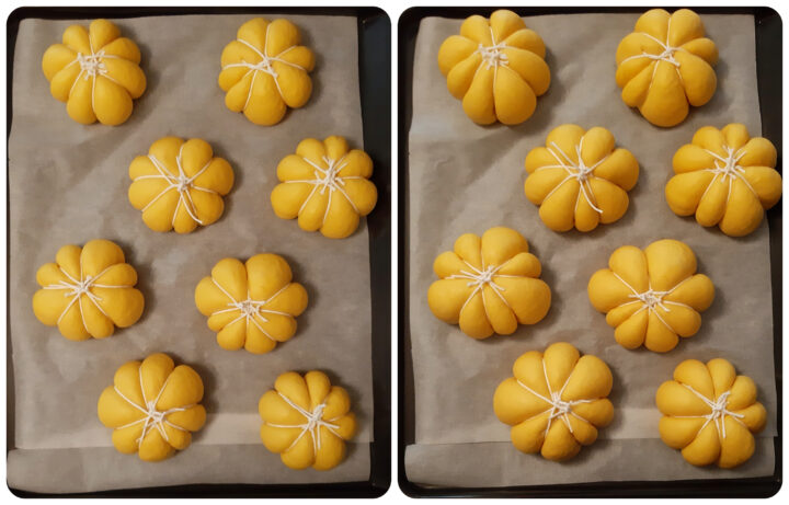panini alla zucca collage 2
