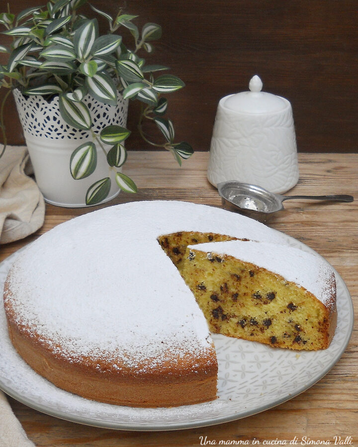 La torta allo yogurt e gocce di cioccolato è un dolce soffice, semplice e goloso che rimane soffice per giorni. Ricetta veloce